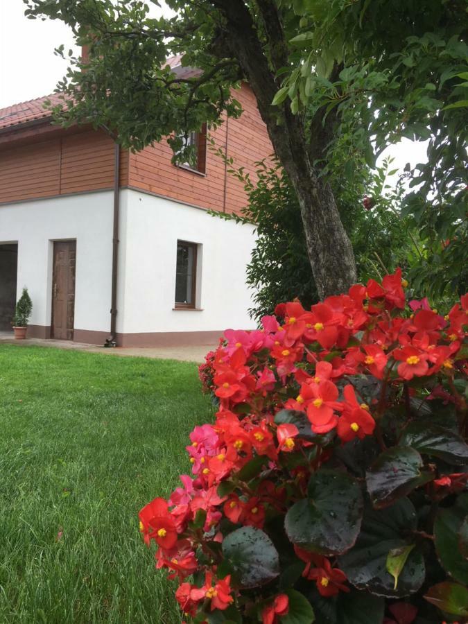 Pokoje Kasztanowa Wilkasy Exterior photo